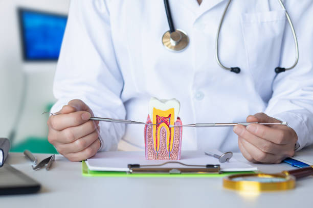 Best Emergency Dental Services Near Me  in Stevensville, MI
